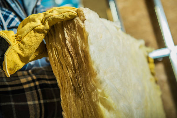 Best Residential Insulation in St Stephen, SC