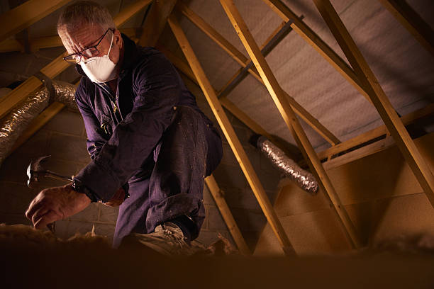 Best Insulation for Specific Applications in St Stephen, SC
